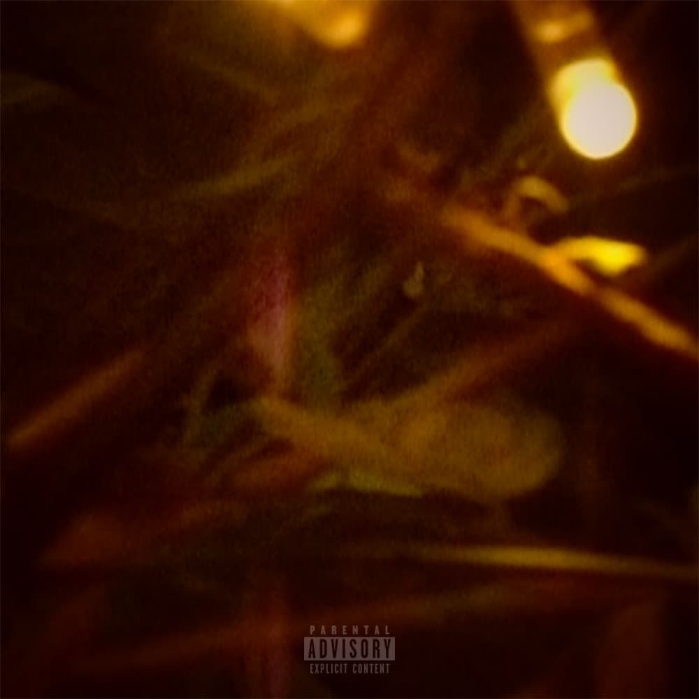 Am I The Issue cover